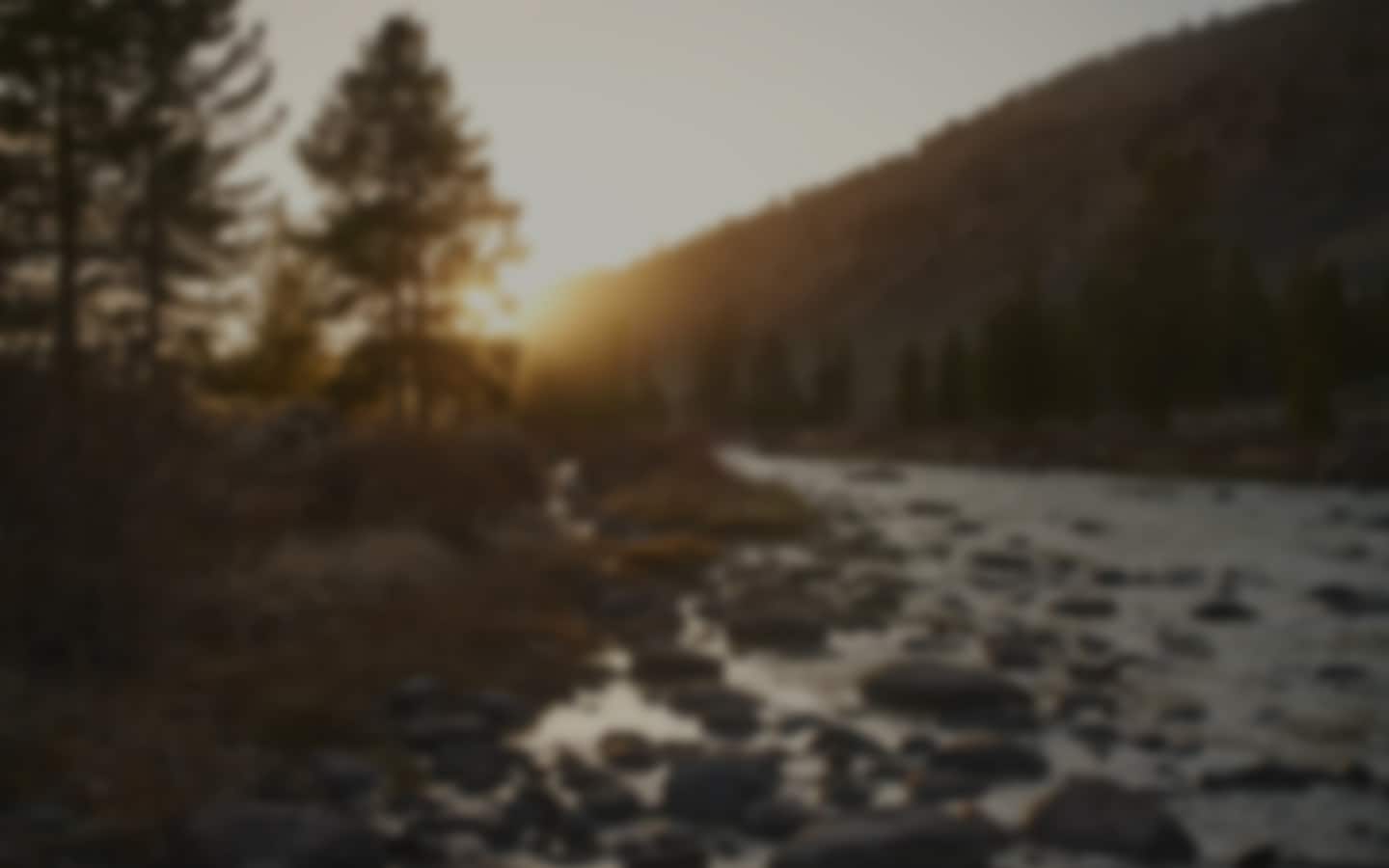 Mood Banner Picture